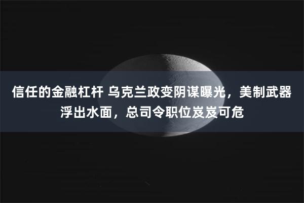 信任的金融杠杆 乌克兰政变阴谋曝光，美制武器浮出水面，总司令职位岌岌可危