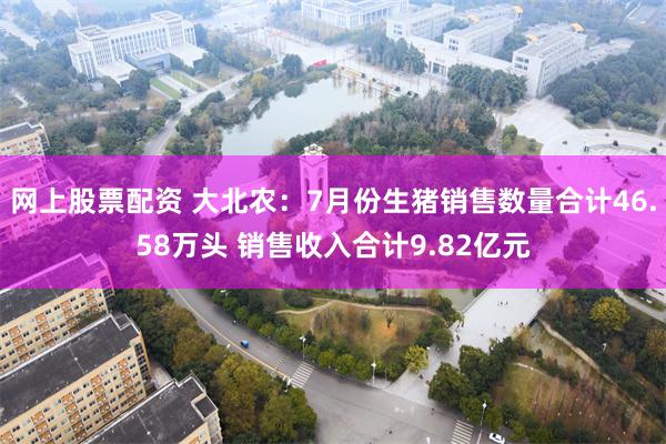 网上股票配资 大北农：7月份生猪销售数量合计46.58万头 销售收入合计9.82亿元