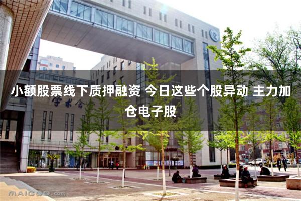 小额股票线下质押融资 今日这些个股异动 主力加仓电子股