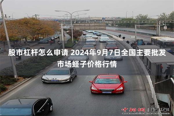 股市杠杆怎么申请 2024年9月7日全国主要批发市场蛏子价格行情