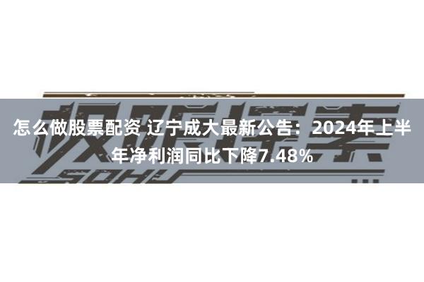 怎么做股票配资 辽宁成大最新公告：2024年上半年净利润同比下降7.48%