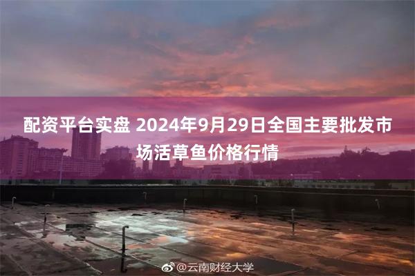 配资平台实盘 2024年9月29日全国主要批发市场活草鱼价格行情