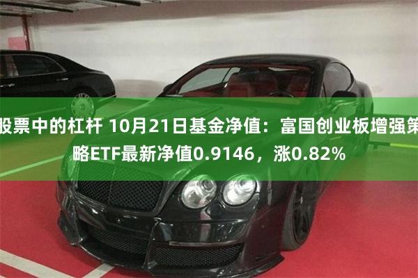 股票中的杠杆 10月21日基金净值：富国创业板增强策略ETF最新净值0.9146，涨0.82%