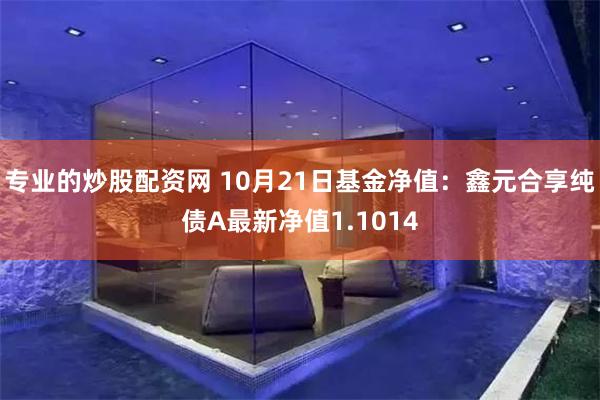 专业的炒股配资网 10月21日基金净值：鑫元合享纯债A最新净值1.1014