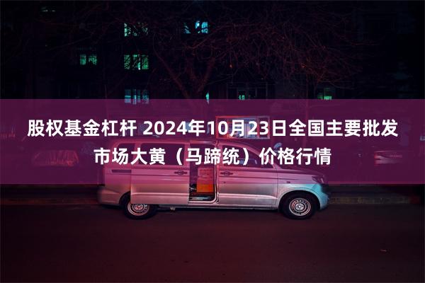 股权基金杠杆 2024年10月23日全国主要批发市场大黄（马蹄统）价格行情