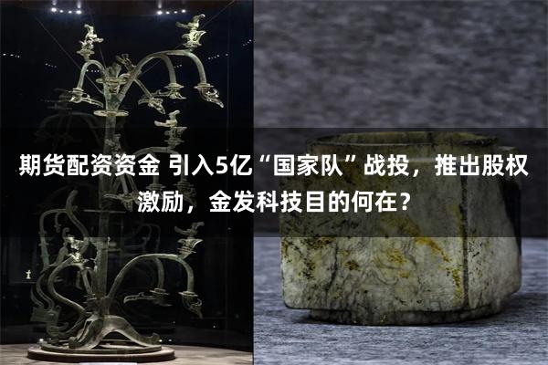 期货配资资金 引入5亿“国家队”战投，推出股权激励，金发科技目的何在？