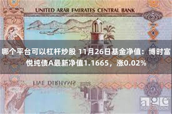 哪个平台可以杠杆炒股 11月26日基金净值：博时富悦纯债A最新净值1.1665，涨0.02%