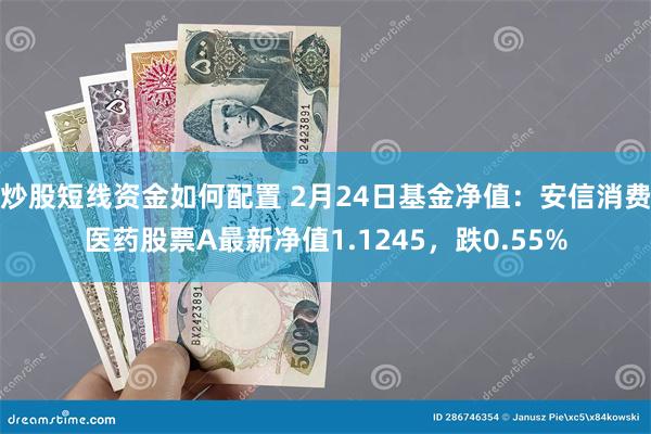 炒股短线资金如何配置 2月24日基金净值：安信消费医药股票A最新净值1.1245，跌0.55%