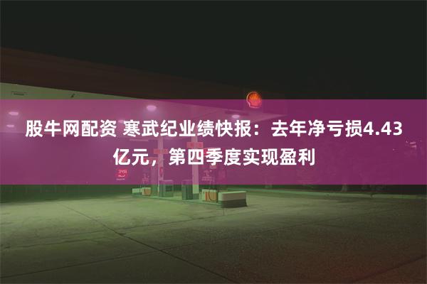 股牛网配资 寒武纪业绩快报：去年净亏损4.43亿元，第四季度实现盈利